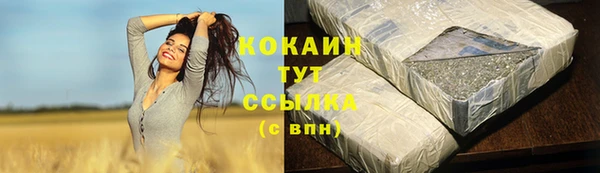 PSILOCYBIN Нязепетровск