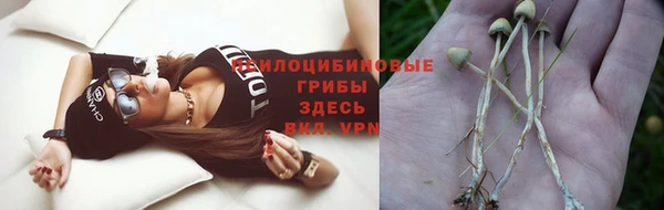 apvp Остров
