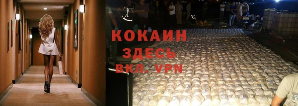 мдпв Осташков