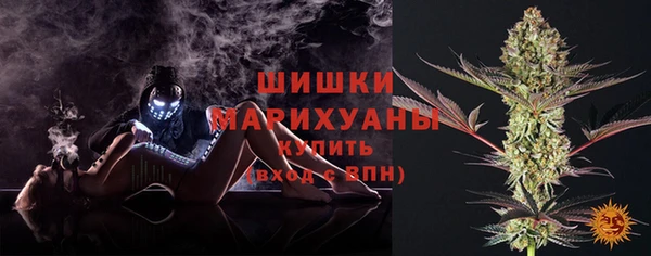 PSILOCYBIN Нязепетровск