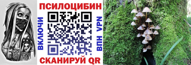 закладки  кракен ТОР  Псилоцибиновые грибы мицелий  Белая Холуница 