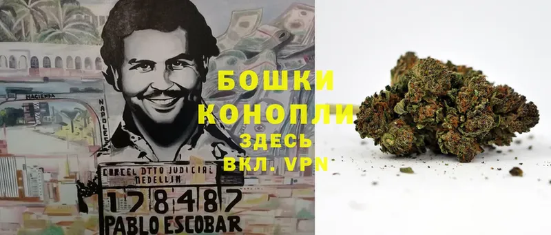 Бошки Шишки SATIVA & INDICA  купить наркотик  Белая Холуница 